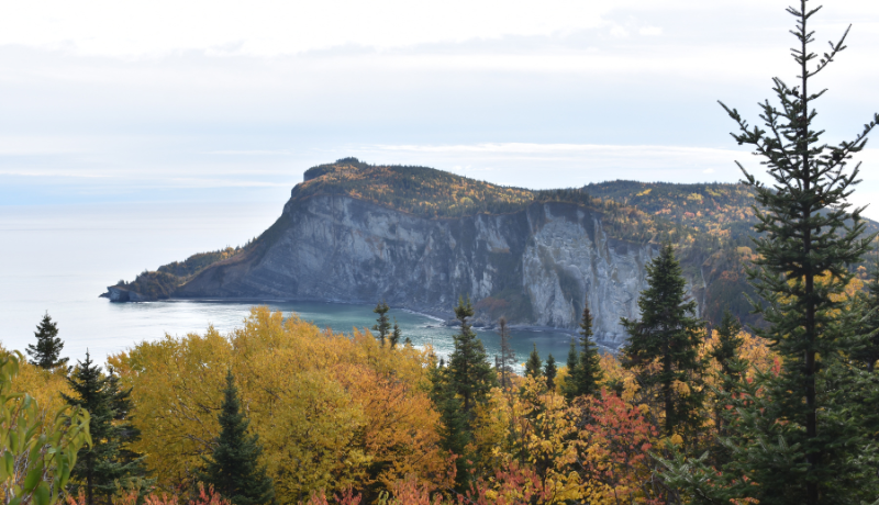 Quebec introduces Bill 81 to advance its environmental laws