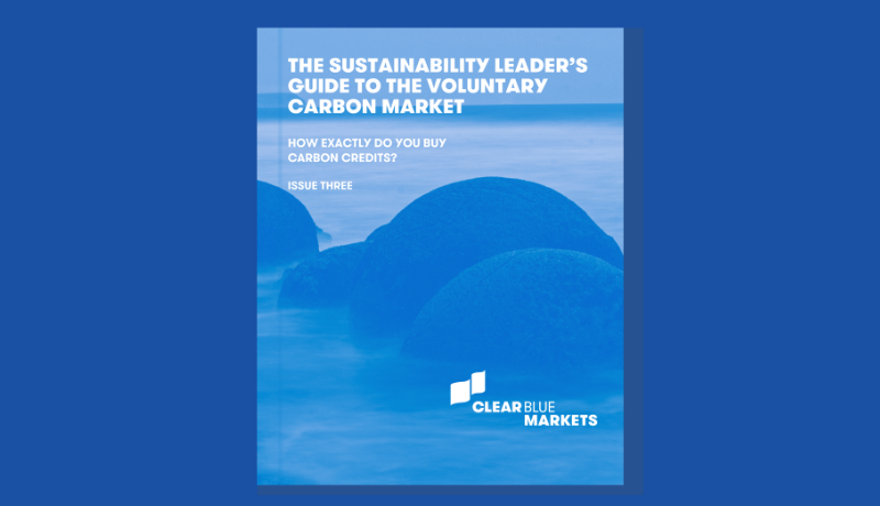 Guide to VCM Issue Three: How exactly do you buy carbon credits?