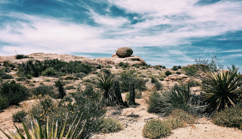 California’s plan to charge ahead with climate commitments