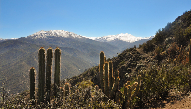 Chile Carbon Forum 2024: Key Takeaways and Future Prospects